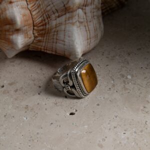 BA1242TIGRERETOUCHE